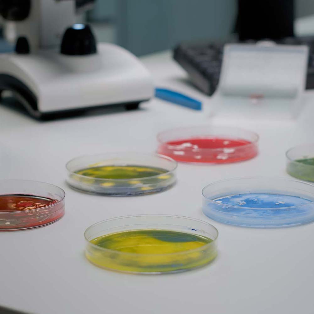 Scientificc Petri dish holding substances